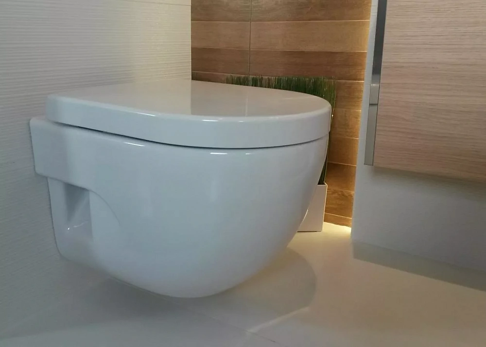 Чаша для унитаза подвесного Roca N-Meridian Compacto 346248000 - 2