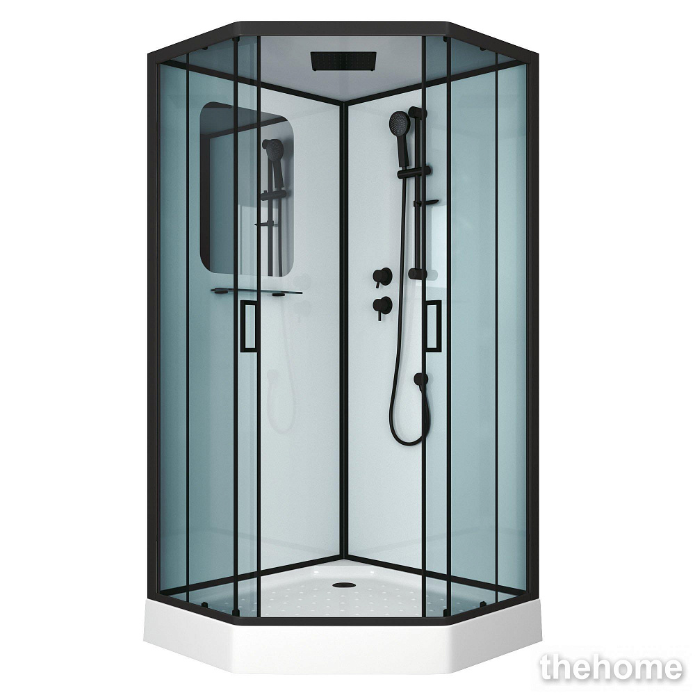 Душевая кабина Niagara Premium NG-6902-01D BLACK 100х100х220 стекло тонированное - TheHome
