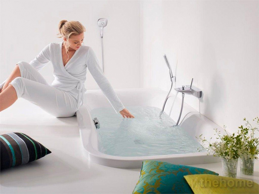 Душевая лейка Hansgrohe PuraVida 28558400 - 2