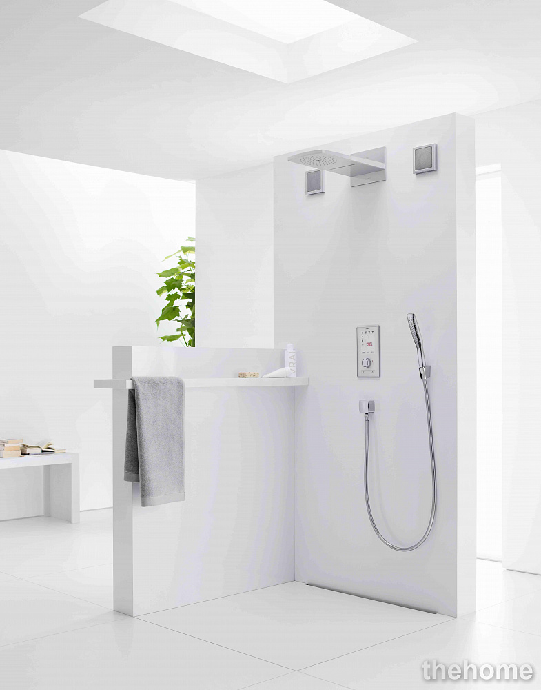 Душевая лейка Hansgrohe PuraVida 28558000 - 2