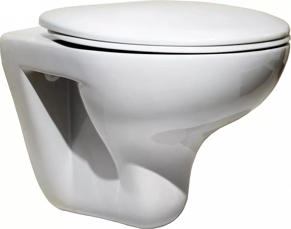 Чаша унитаза подвесного Roca Mateo 346200000 - TheHome