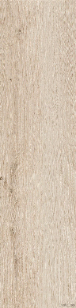 Керамогранит Classic OAK белый 22,1x89 - TheHome