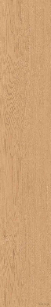 Керамогранит CW04 19,4х120х10 Непол.РеКт. - TheHome